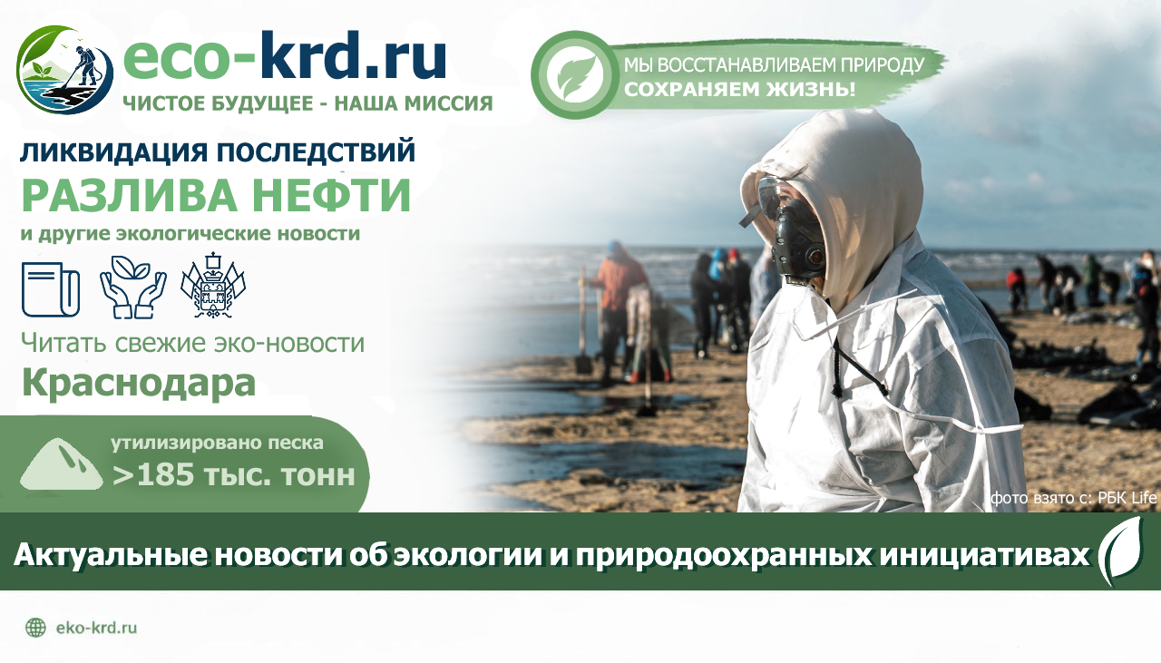 Ликвидация последствий разлива нефти в Анапе